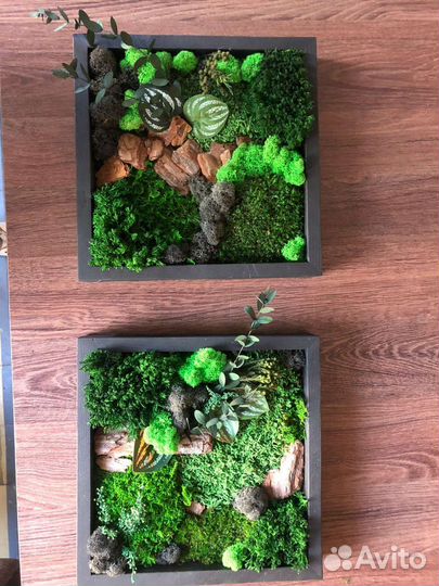 Мастер класс по мху