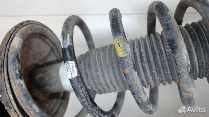 Амортизатор подвески Hyundai Coupe (Tiburon), 2002