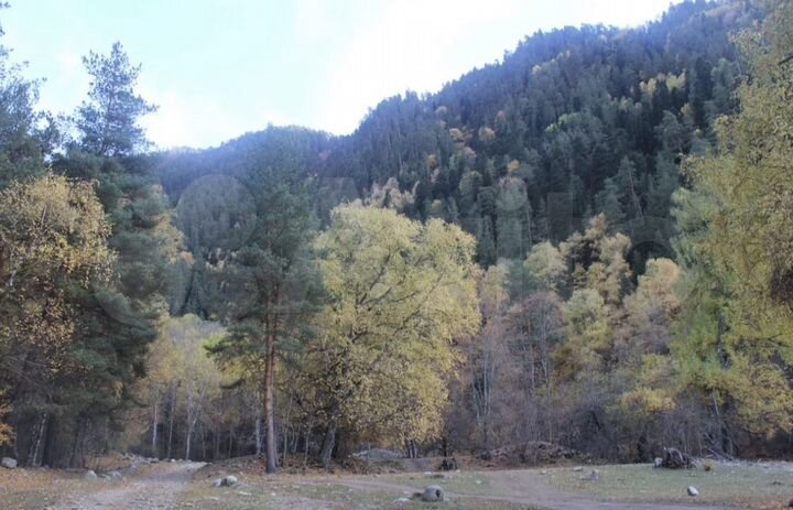 Участок 2,5 га (ИЖС)