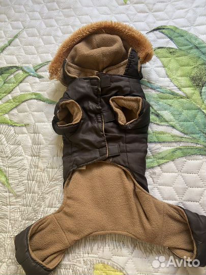 Обувь для собак 1