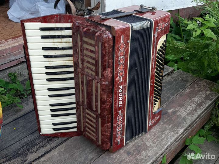 Аккордеон Tenora