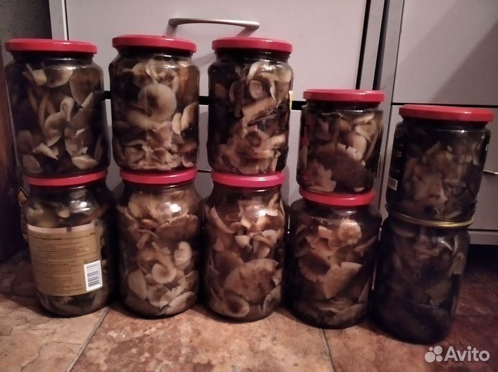 Грибы опята маринованные