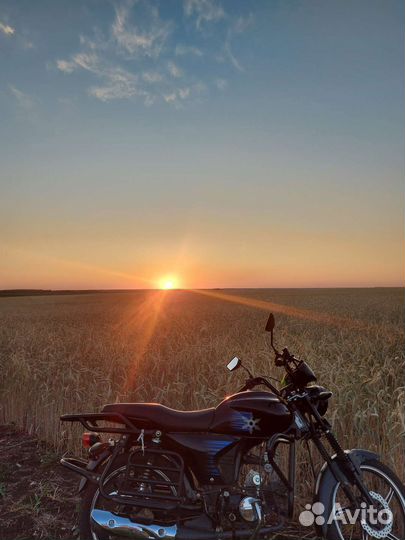 Alpha shuriken evolution 110