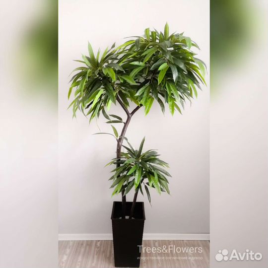 Искусственное дерево манго