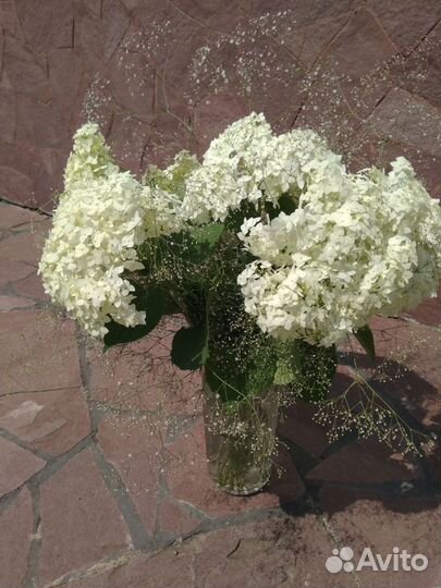 Живые цветы сезонные букеты