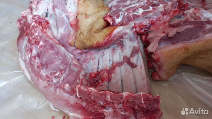 Мясо свинина оптом