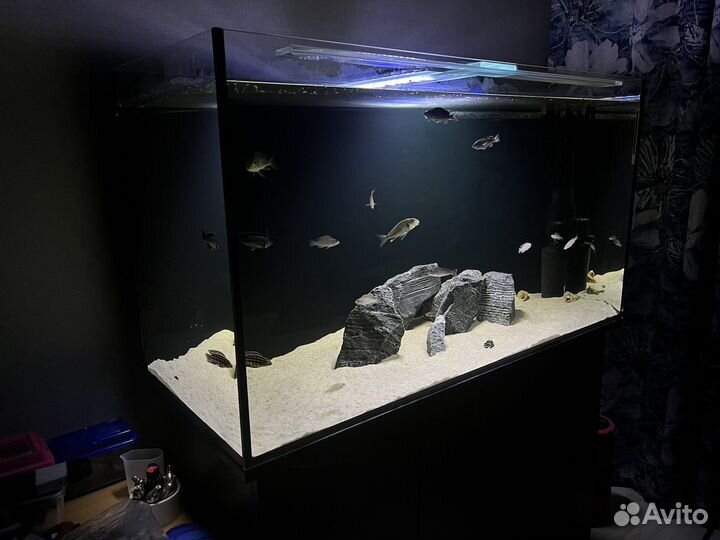 Аквариум с тумбой 300 литров