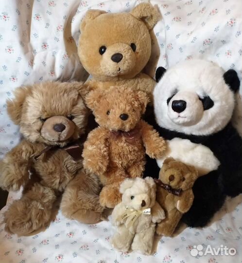 Медведи коллекционные