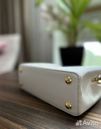 Сумка Louis Vuitton Capucines