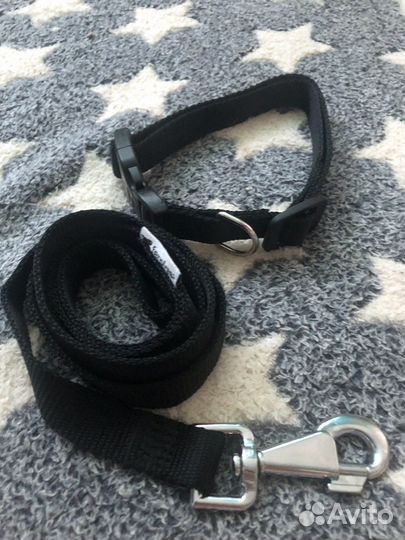 Ошейник для собак