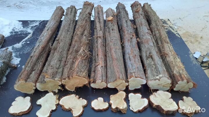 Спилы,стволы дерева можжевельник для декора