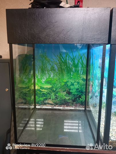 Аквариум 110 литров