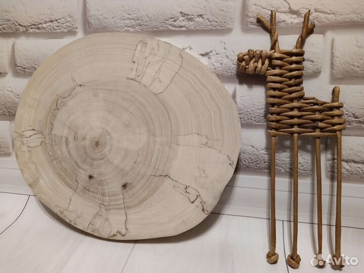 Спил дерева (тополь)