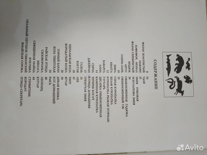 Энциклопедия 