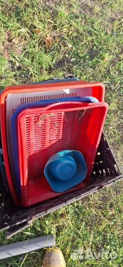 Корм для кошек проплан 1.5 кг