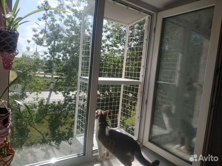 Балкончик для кошки