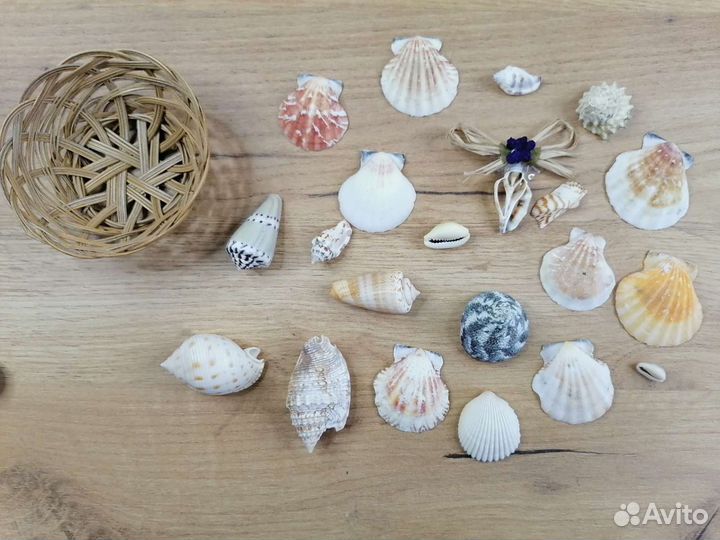 Корзина набор с ракушками