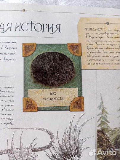 Книга Эрагон гид по стране драконов