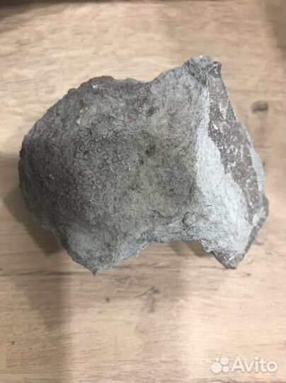 Окаменелости разные