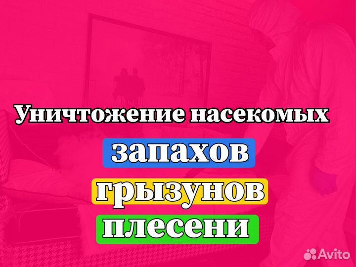 Уничтожение Клопов Тараканов Насекомых Плесени