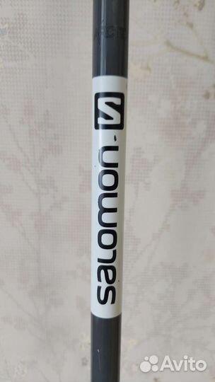 Лыжные палки Salomon arctic 120 см для горных лыж