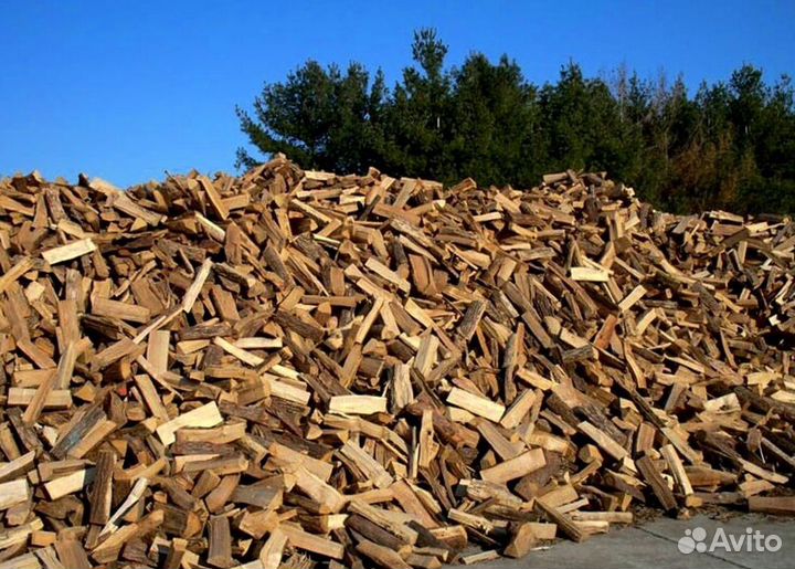 Дрова в СПБ