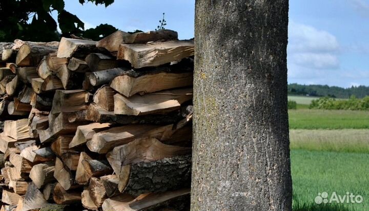Дрова осина ольха береза