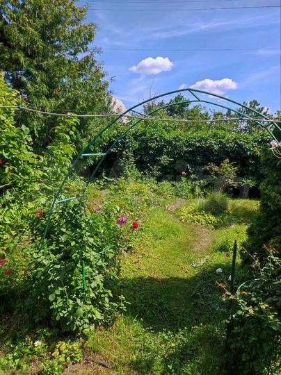 Дом 50 м² на участке 5 сот.