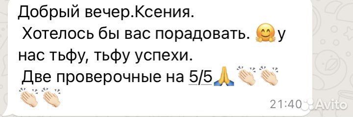 Репетитор по математике