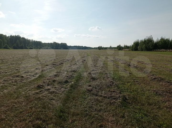 Участок 217,96 га (СНТ, ДНП)