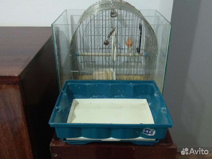 Клетка для попугая или аквариум