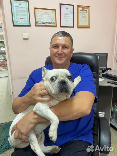 Домашний ветеринарный врач