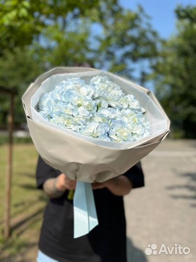 Голубая гортензия, букет из гортензий