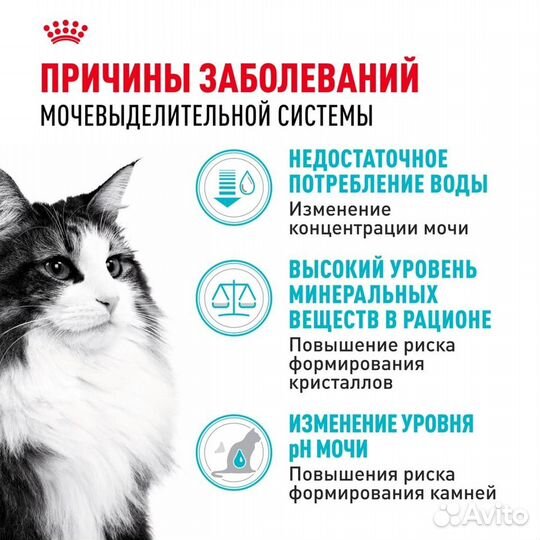 Корм Royal Canin сухой для взрослых кошек для подд