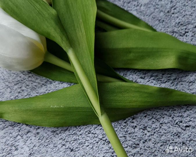 Белый тюльпан из фоамирана