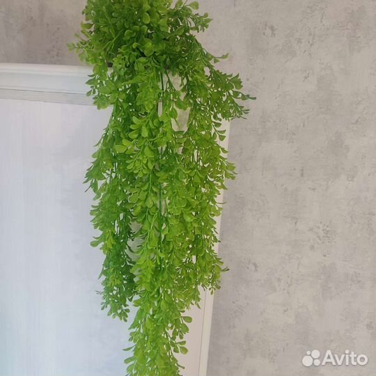 Ампельное растение. 84 см