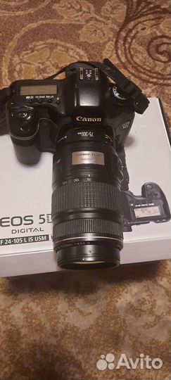 Зеркальный фотоаппарат canon 5d