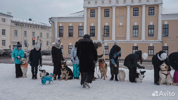 Кинолог, зоопсихолог