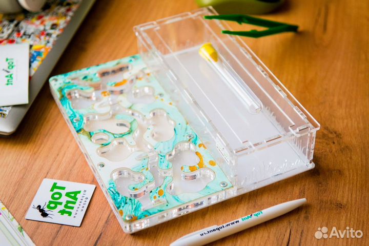 Формикарий/ Подарок для ребенка/ Муравьиная ферма