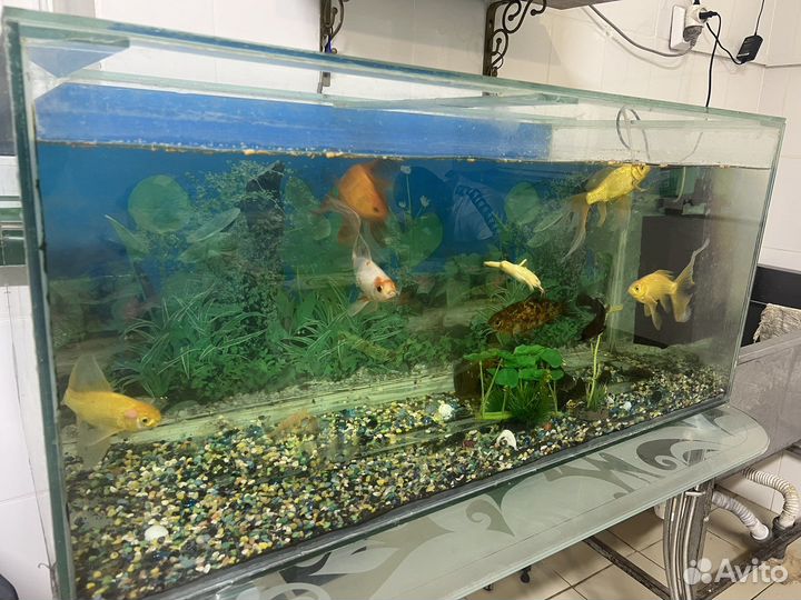 Украшение для аквариума