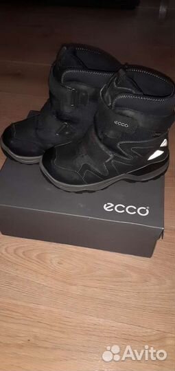 Сапоги ecco