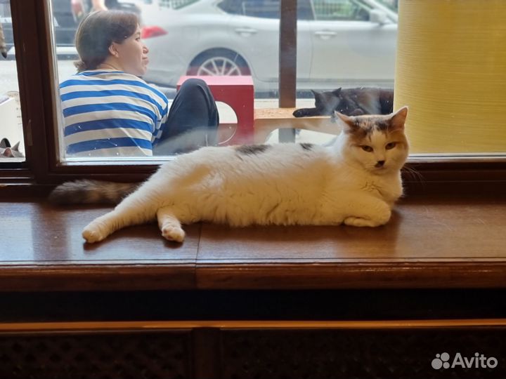 Плюшечка-ласкушечка