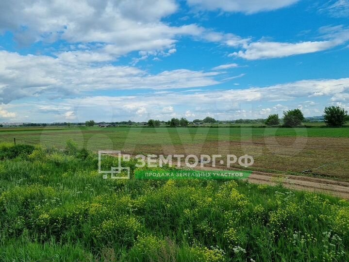 Участок 84 га (СНТ, ДНП)