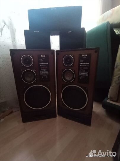 Акустические колонки Radiotehnika S-90 D