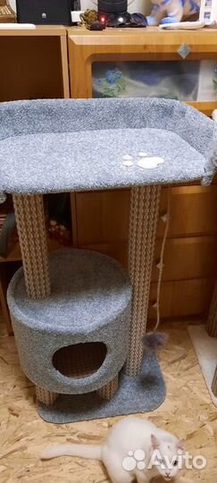 Игровые комплексы для кошек и собак