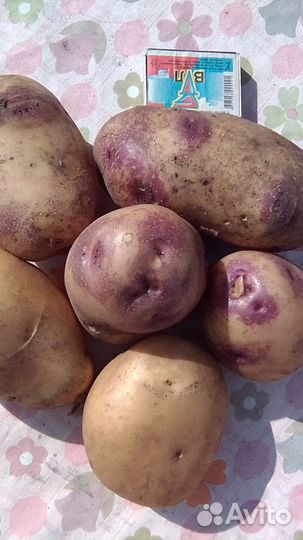 Продам картофель