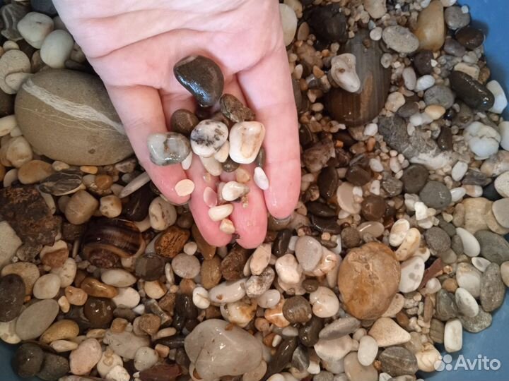 Грунт для аквариума