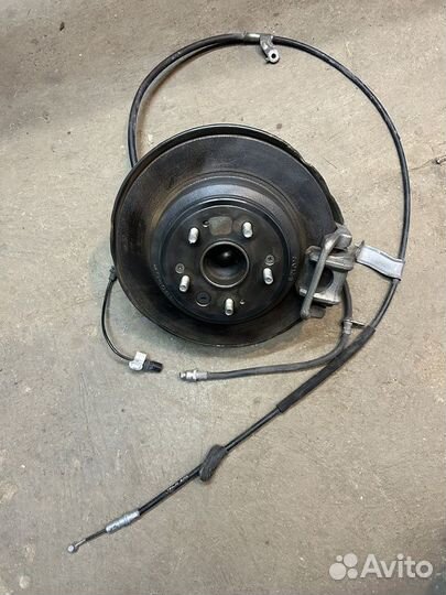 Кулак задний левый Honda Accord 9