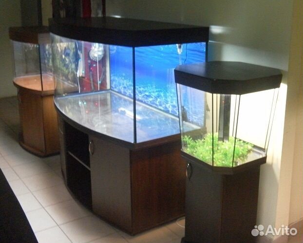 Аквариум100 