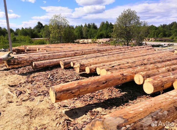 Срубы домов бань